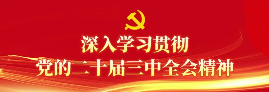 【深入学习贯彻党的二十届三中全会精神】