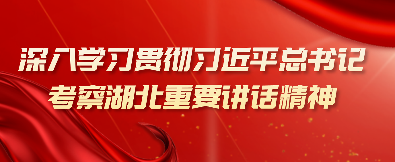 深入学习贯彻习近平总书记考察湖北重要讲话精神