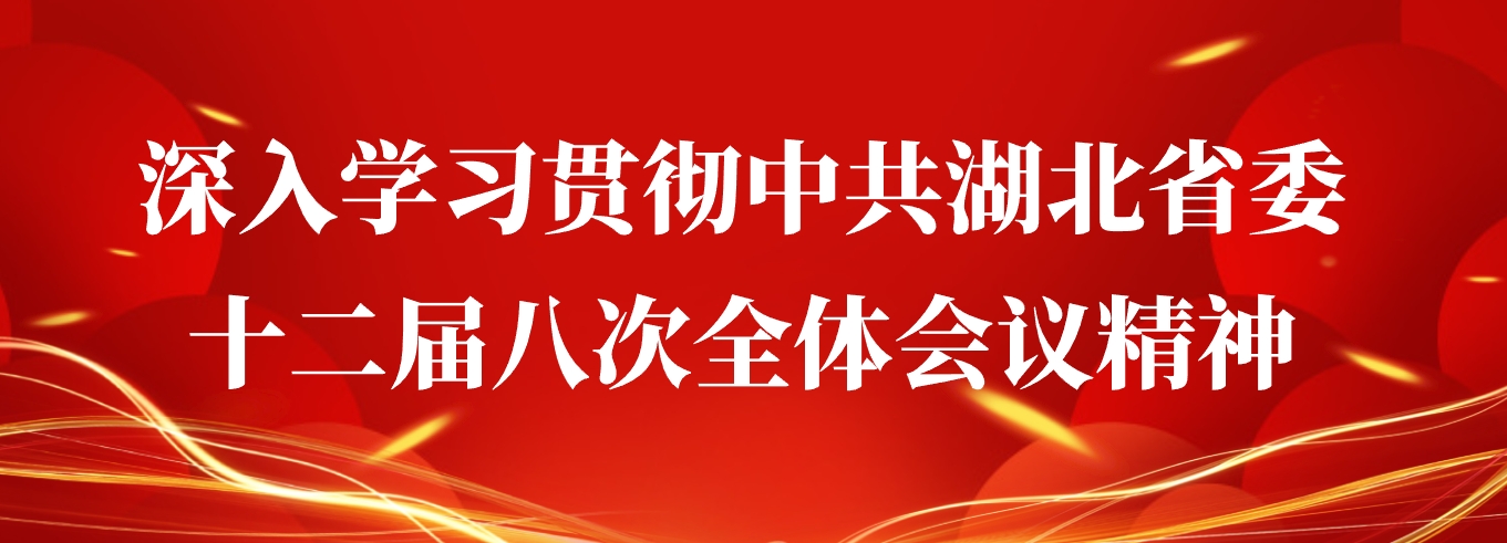 深入学习贯彻中共湖北省委十二届八次全体会议精神